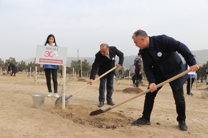 Xocalı qurbanlarının xatirəsinə həsr olunmuş ağacəkmə aksiyası keçirildi - FOTOLAR